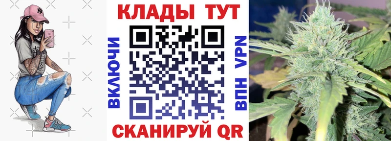 Где купить наркоту Вологда Кокаин Бутират Каннабис