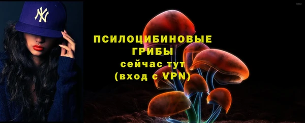 индика Абдулино