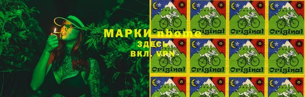 индика Абдулино
