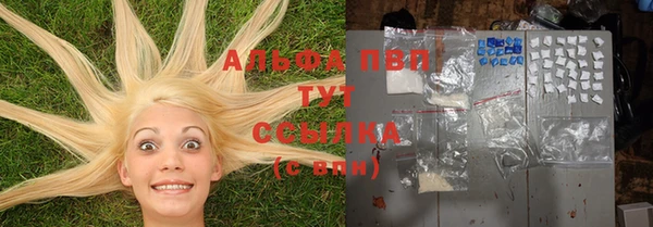 индика Абдулино