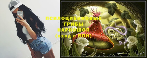 индика Абдулино