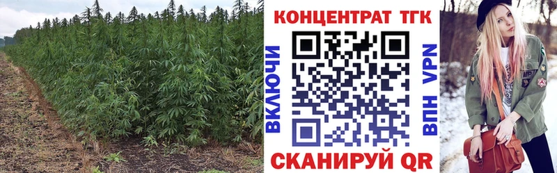Дистиллят ТГК жижа  блэк спрут сайт  Вологда  даркнет сайт 