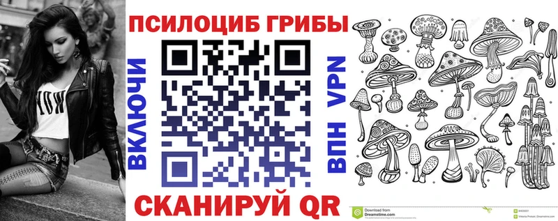 omg ссылка  Вологда  Псилоцибиновые грибы MAGIC MUSHROOMS  магазин   