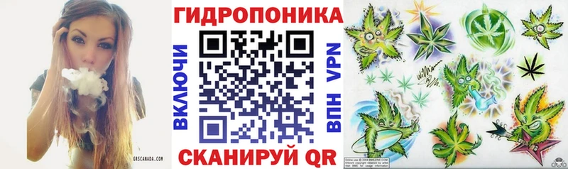 Каннабис план  MEGA ссылка  это состав  купить  сайты  Вологда 